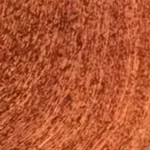 No 8.44 - Ξανθό Ανοιχτό Χάλκινο Έντονο