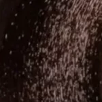 No 5.3 - Καστανό Ανοιχτό Ντορέ