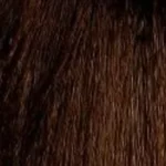 Νο 4.3 - Καστανό Ντορέ